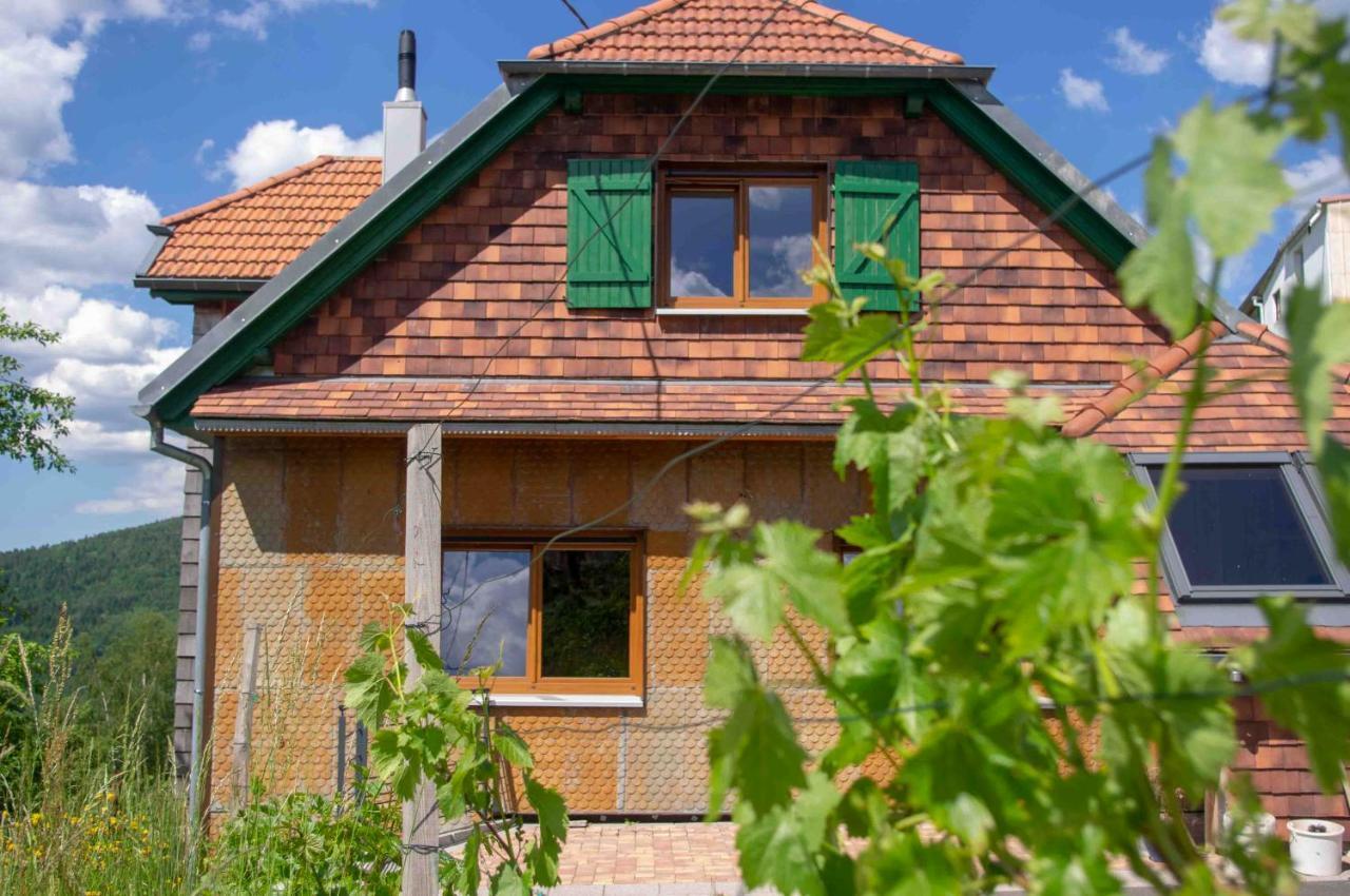 Le Gite Du Wildbach Wildersbach Exterior photo